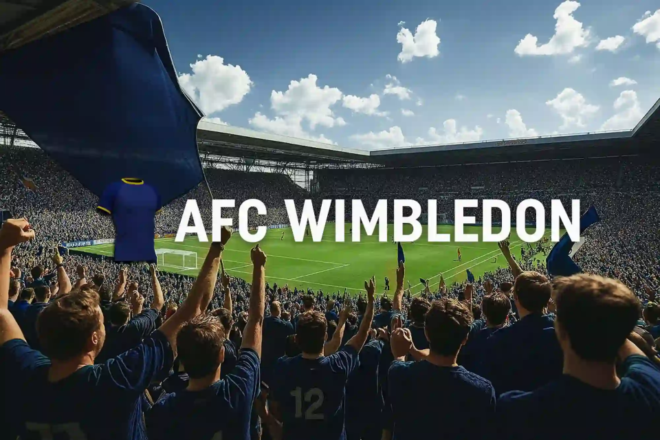 AFC Wimbledon stadion