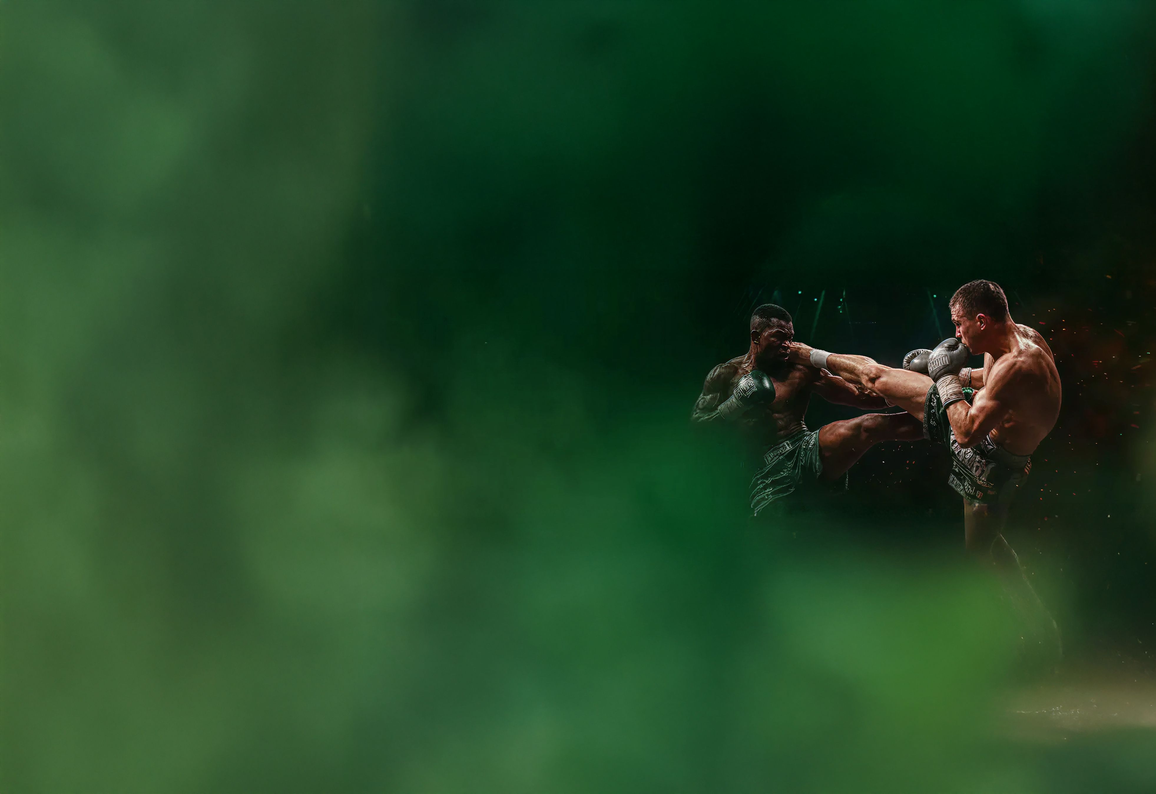 Twee kickboksers in actie