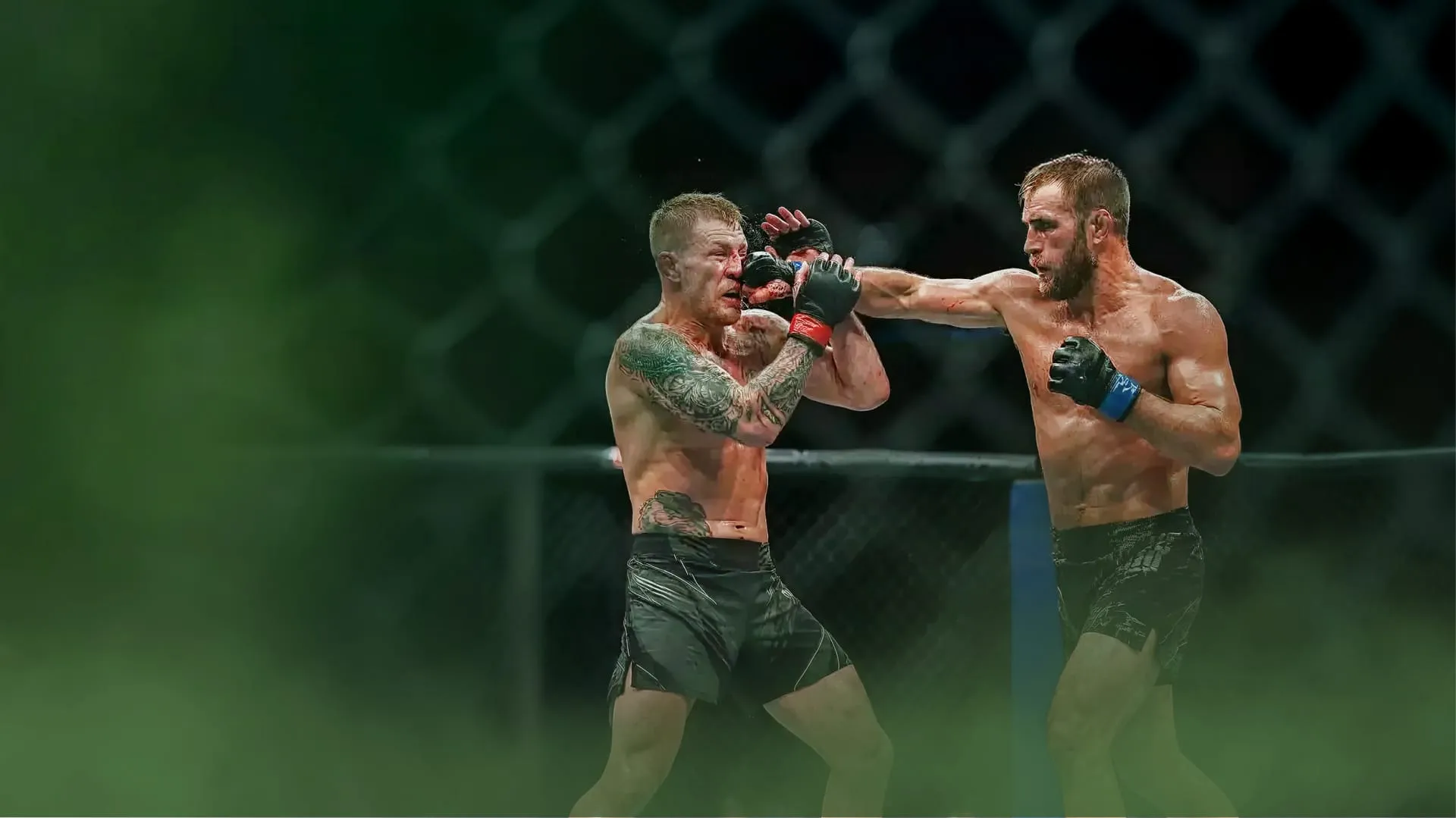 Twee MMA-vechters in actie tijdens een gevecht in een kooi