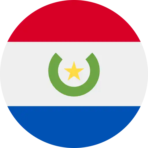 Vlag van paraguay